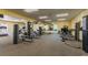 Well-equipped fitness center with various weight machines at 4900 Brittany S Dr # 1303, St Petersburg, FL 33715