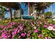 Community entrance with Ultimar signage and vibrant pink flowers at 1540 Gulf Blvd # 806, Clearwater, FL 33767