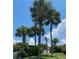 Lush landscaping with palm trees and a park bench at 240 Windward Psge # 504, Clearwater, FL 33767