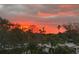 Beautiful sunset view over the treetops and houses at 8210 Aquila St # 223, Port Richey, FL 34668