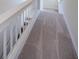 Brightly lit staircase with white railing and carpeted steps at 1500 Ember Ln, Tarpon Springs, FL 34689