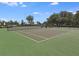 Community tennis courts at 12821 Bergstrom Bay Dr, Riverview, FL 33579