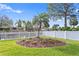 Landscaped circular garden with palm tree and white fence at 5269 Dover Ne St, St Petersburg, FL 33703