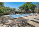 Refreshing community pool area with surrounding trees at 103 Cypress Pond Rd # 103, Palm Harbor, FL 34683