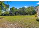 Large grassy backyard with mature trees at 9660 90Th Ave, Seminole, FL 33777