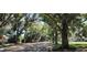 Street view with mature trees lining both sides of the road at 2436 Rhodesian Dr # 42, Clearwater, FL 33763