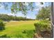 Large grassy backyard with lush landscaping at 18602 Bent Pine Dr, Hudson, FL 34667