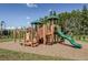 playground with climbing structures and slides at 3134 Francoa Dr, Odessa, FL 33556