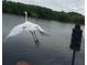 Great Egret taking flight over the calm waters at 1964 Arvis E Cir, Clearwater, FL 33764