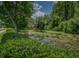 Peaceful pond with lush greenery and lily pads at 4050 Eagle Cove East Dr, Palm Harbor, FL 34685