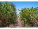Private path leading to a beautiful beach at 2 4Th Ave, Indian Rocks Beach, FL 33785