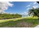 Beautiful waterfront backyard with lush green grass, mature palm tree and bay views at 163 Brent Cir, Oldsmar, FL 34677