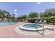 Community amenities include a pool and spa surrounded by manicured landscaping at 163 Brent Cir, Oldsmar, FL 34677