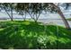 Grassy backyard with trees and garden, leading to a peaceful waterfront at 4751 Baywood Point S Dr, Gulfport, FL 33711