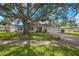 Newly renovated home with a large oak tree and driveway at 1995 Arvis E Cir, Clearwater, FL 33764