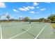 Outdoor community basketball court at 6926 Surrey Oak Dr, Apollo Beach, FL 33572