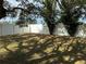 Private backyard with fenced perimeter and shade trees at 15151 Eastwood Trl, Brooksville, FL 34604