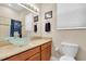Bathroom with a vessel sink, granite countertop, and modern fixtures, accented with decorative elements at 435 Westwinds Drive, Palm Harbor, FL 34683