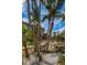 Lush landscaping with palm trees and a pond feature at 3021 Countryside Blvd # 28A, Clearwater, FL 33761