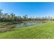 Peaceful pond view with lush greenery at 12931 Conquistador Loop, Spring Hill, FL 34610