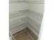 Walk-in pantry with ample shelving for storage at 6075 Shingler Ave, Spring Hill, FL 34608