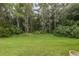 Backyard with lush green grass and wooded area at 1153 Dustan Pl, Trinity, FL 34655