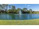 Serene pond with a water fountain, surrounded by lush greenery at 1153 Dustan Pl, Trinity, FL 34655
