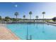 Resort-style pool with palm trees and lounge chairs at 1153 Dustan Pl, Trinity, FL 34655