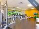 Fitness center with strength training and cardio equipment at 1533 Westerham Loop, Trinity, FL 34655