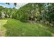 Private backyard with lush landscaping at 3631 Player Dr, New Port Richey, FL 34655