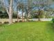 Spacious backyard with lush lawn and mature trees at 6206 Soaring Ave, Temple Terrace, FL 33617