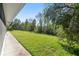 Green grassy backyard with a side walkway and wooded backdrop at 10516 Moshie Ln, San Antonio, FL 33576