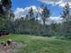 Wooded backyard view of natural Florida landscape at 10516 Moshie Ln, San Antonio, FL 33576
