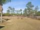 Open pasture with trees and fencing at 18134 Powerline Rd, Dade City, FL 33523