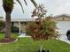 Attractive Florida home with palm trees and manicured lawn at 1354 Linstock Dr, Holiday, FL 34690