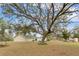 Large backyard with mature oak tree and grassy areas at 37351 Neighbors Path, Zephyrhills, FL 33542