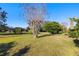 Large backyard with mature trees and landscaping at 13235 Legends Trl, Dade City, FL 33525