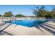 Community swimming pool with lounge chairs at 13235 Legends Trl, Dade City, FL 33525