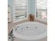 Relaxing bathroom with a large jetted tub at 1545 Citrine Trl, Tarpon Springs, FL 34689