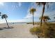 Sandy beach access with palm trees and calm waters at 1545 Citrine Trl, Tarpon Springs, FL 34689