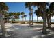 Beachfront view of lush palm trees and sandy shoreline at 1545 Citrine Trl, Tarpon Springs, FL 34689