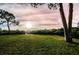 Expansive lawn with trees, offering scenic sunset views at 1545 Citrine Trl, Tarpon Springs, FL 34689