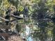 Serene river view with lush vegetation at 3234 Ella Ln, New Port Richey, FL 34655