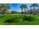 Golf course with lush green grass and palm trees at 9609 Brookdale Dr, New Port Richey, FL 34655