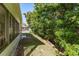 Landscaped backyard with lush greenery at 14120 Whitecap Ave, Hudson, FL 34667