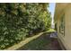 Landscaped side yard with privacy hedge at 14120 Whitecap Ave, Hudson, FL 34667