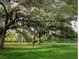 Large backyard with mature oak trees and lush green grass at 4829 Onyx Ln # 102, New Port Richey, FL 34652