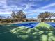 Two well-maintained tennis courts with surrounding landscape at 9519 Green Needle Dr, New Port Richey, FL 34655