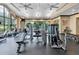 Well-equipped fitness center with modern exercise machines, ceiling fans, and large windows for natural light at 3312 Francoa Dr, Odessa, FL 33556