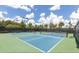 Outdoor tennis courts featuring blue and green surfaces, surrounded by lush trees under a partly cloudy sky at 3312 Francoa Dr, Odessa, FL 33556